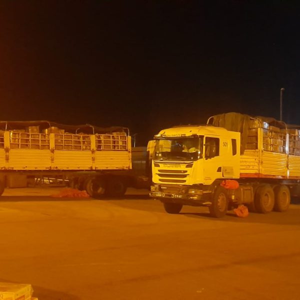 WhatsApp Image 2024-01-29 at 16.47.38 WhatsApp Image 2024-01-29 at 16.47.38